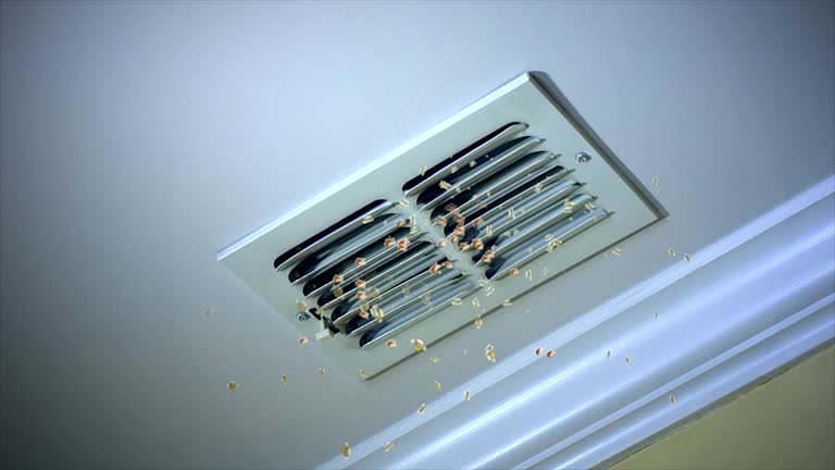 Best Emergency Air Duct Cleaning  in Vernon, AL