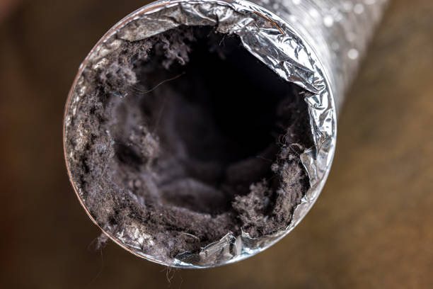 Best Commercial Air Duct Cleaning  in Vernon, AL