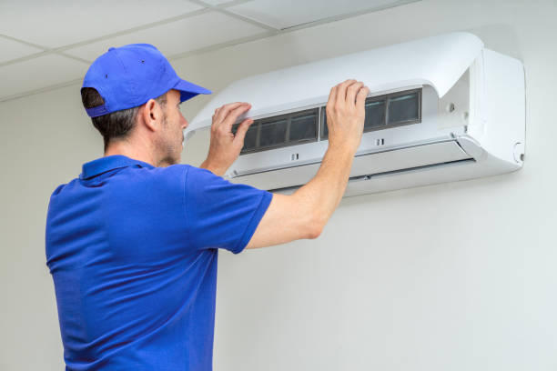 Best Local Air Duct Cleaning Services  in Vernon, AL