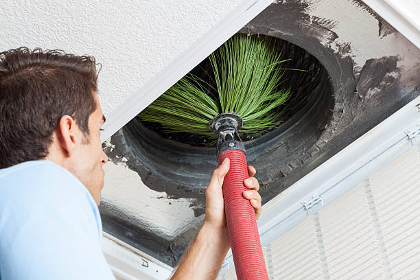 Best HVAC System Cleaning  in Vernon, AL